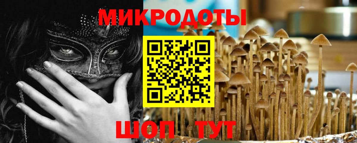 наркотики  Вход с VPN  Шелехов  Галлюциногенные грибы прущие грибы 