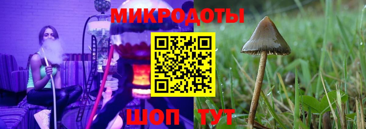 Галлюциногенные грибы мухоморы Шелехов